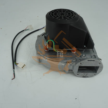 EVAPORATOR FAN