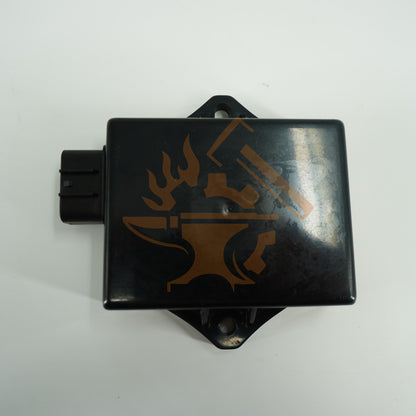 IGNITION MODULE