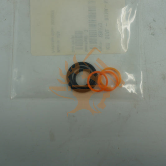 VALVE #10 SEAL KIT GENIE OEM ORG 110203GT
