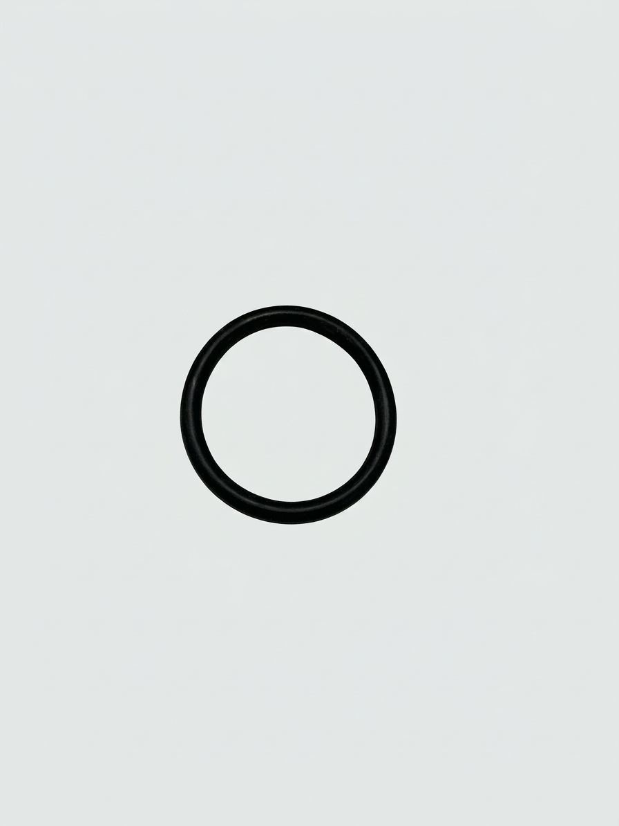 O-RING / MODULATOR HOUSING