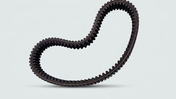 DRIVE BELT