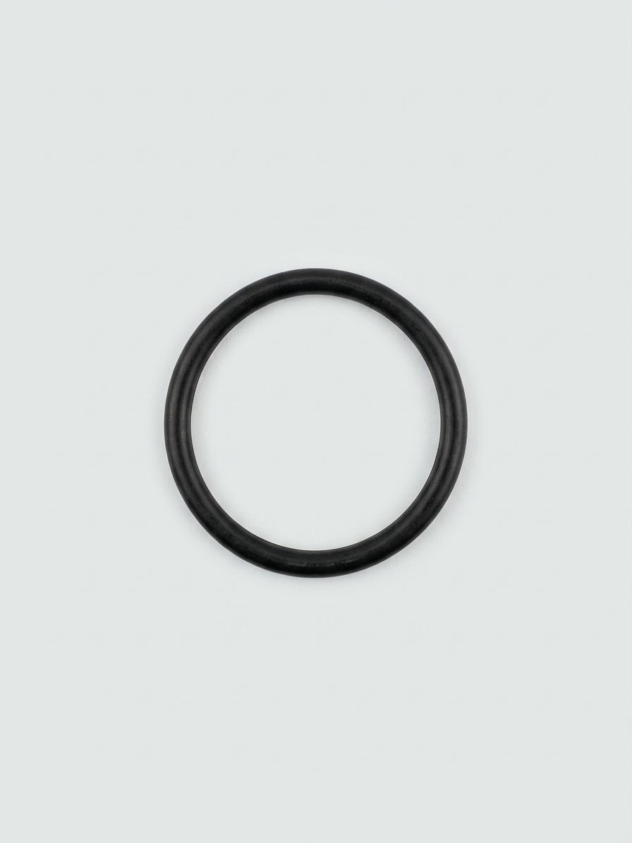 O-RING, INPUT FLANGE