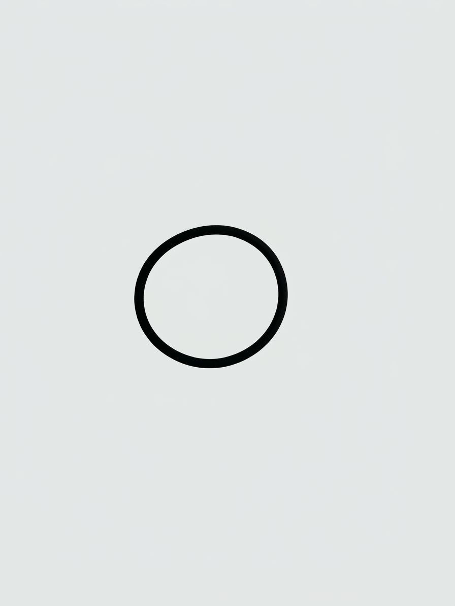 O-RING