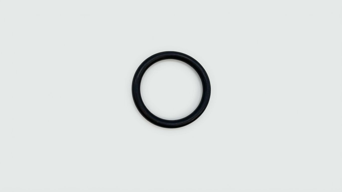 O-RING
