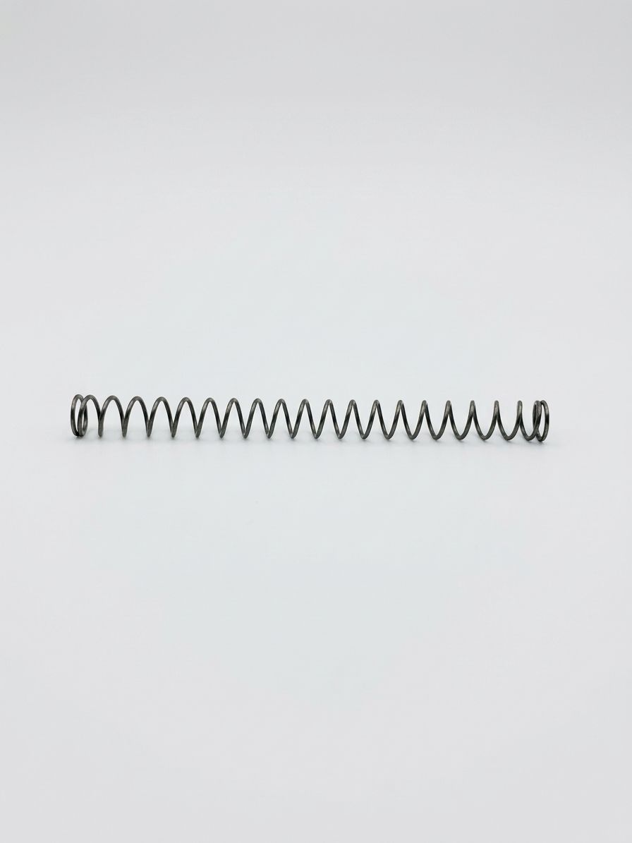 CONTROL ROD SPRING