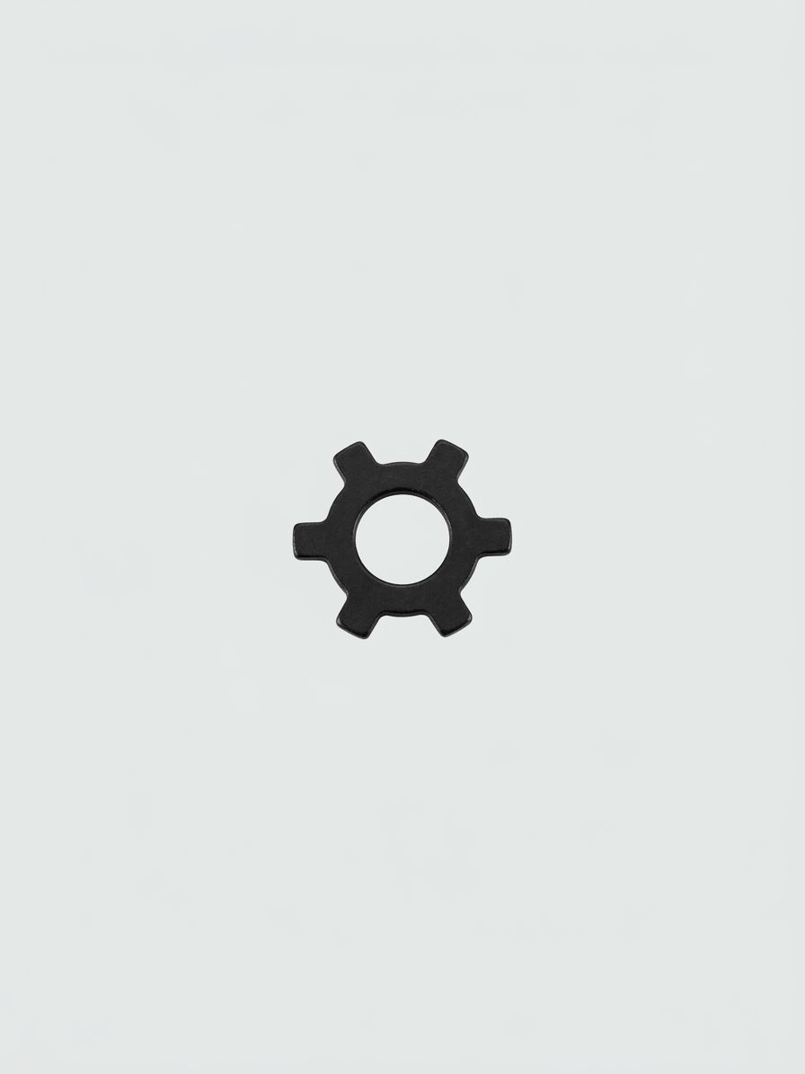 WASHER, STAR, EXTERNAL, .312