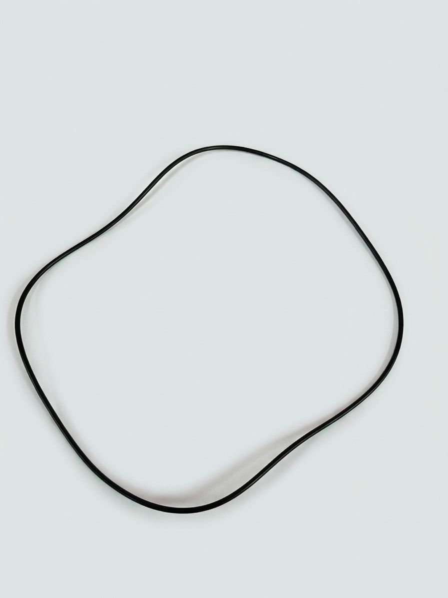 O-RING