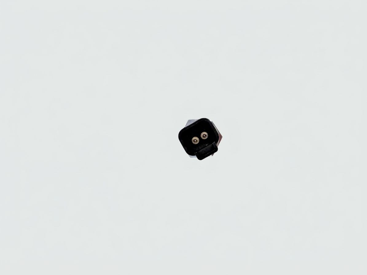 OIL PRESSURE SWITCH