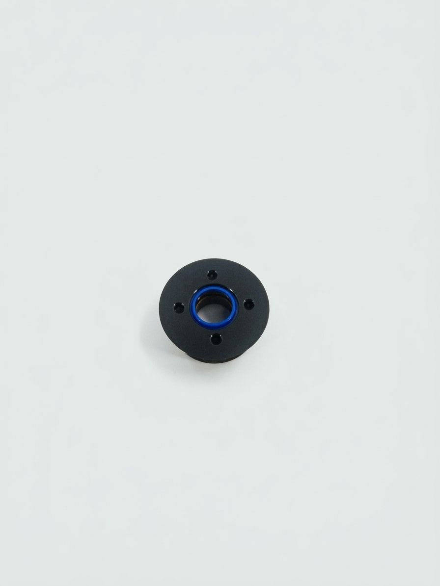 TRIM CYLINDER END CAP SEAL KIT
