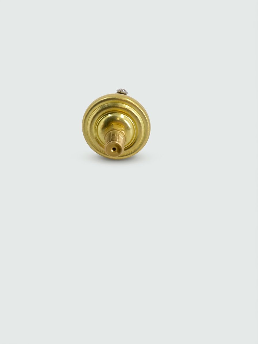 OIL PRESSURE SWITCH