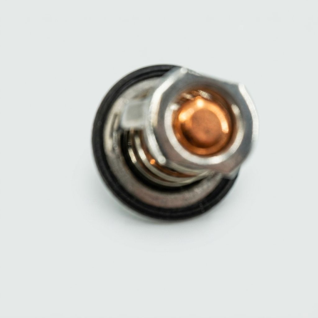 THERMOSTAT
