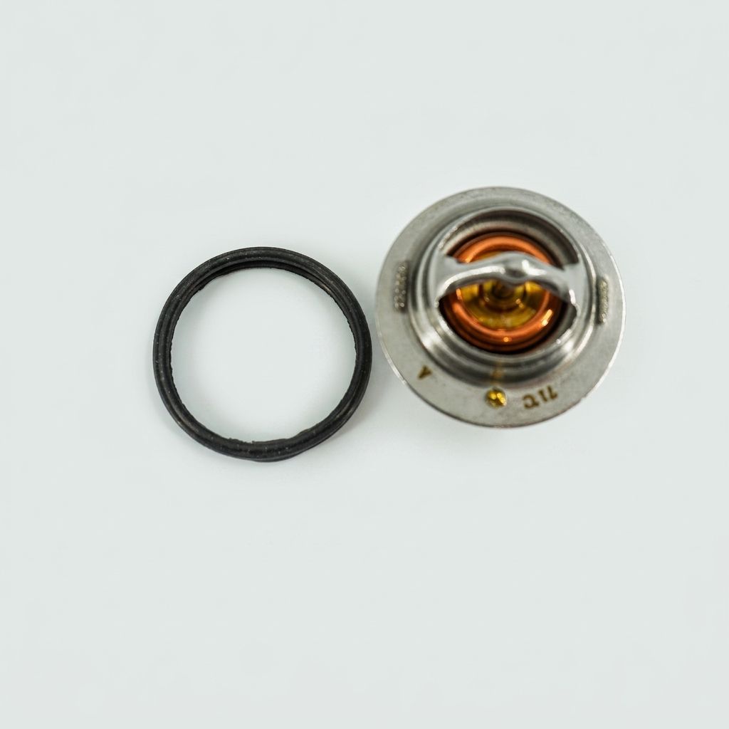 THERMOSTAT, 160F