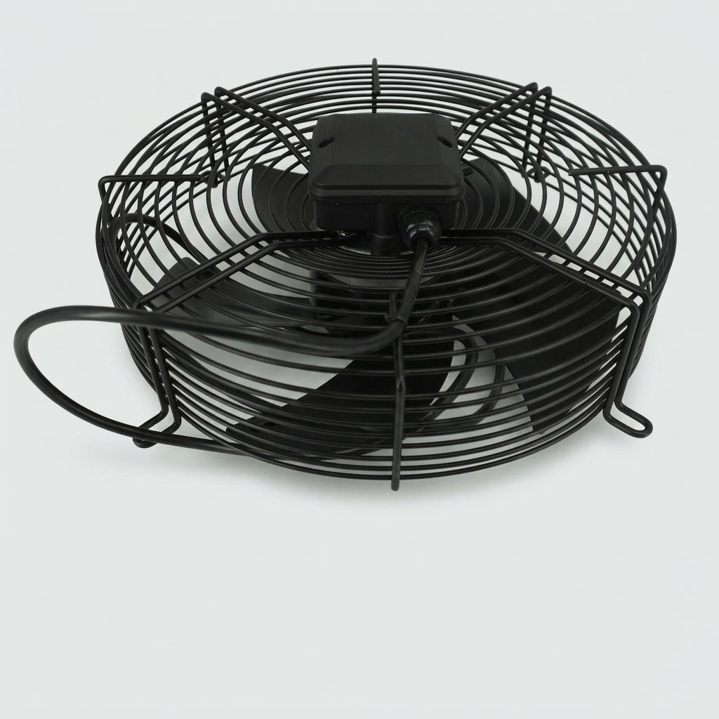 FAN