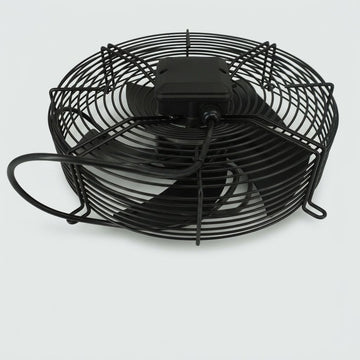 FAN