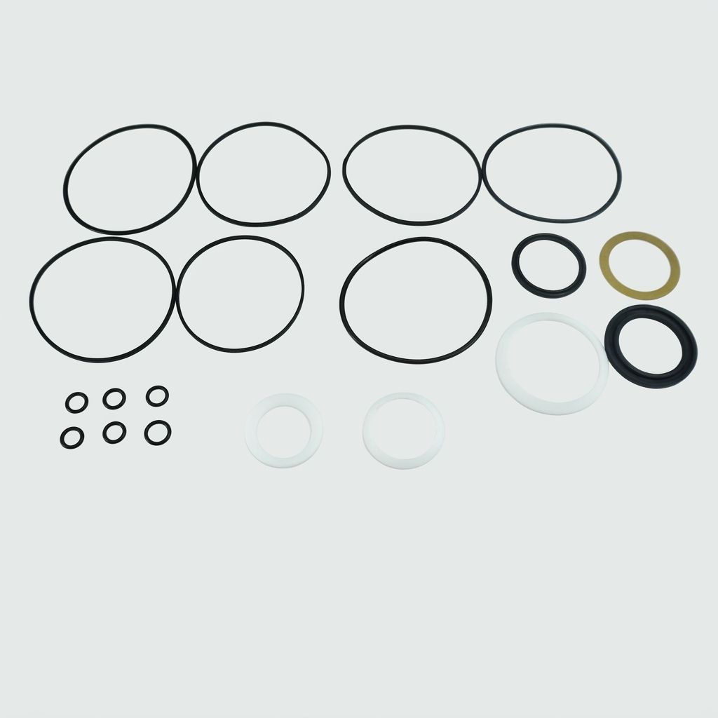 HYDRAULIC MOTOR SEAL KIT
