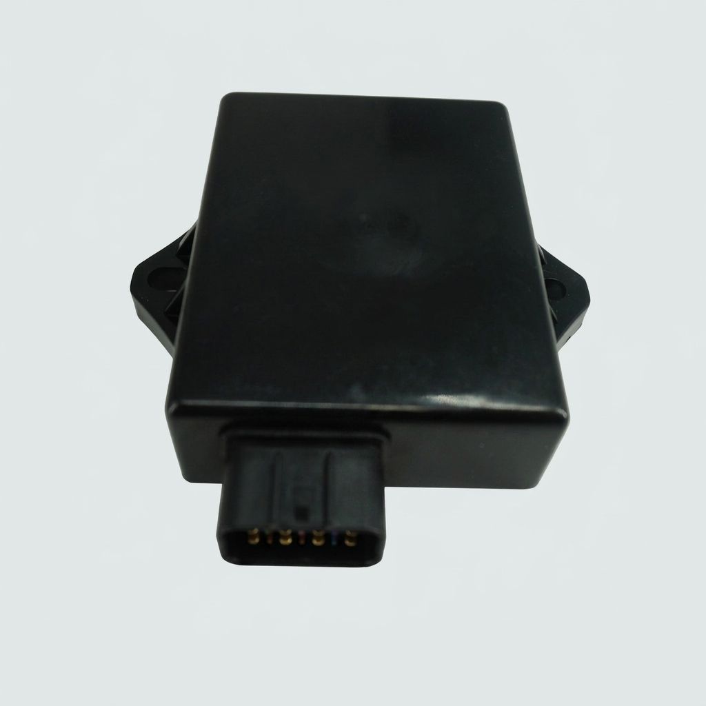 IGNITION MODULE