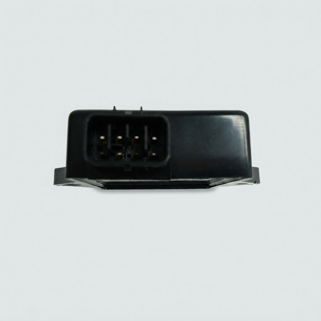 IGNITION MODULE