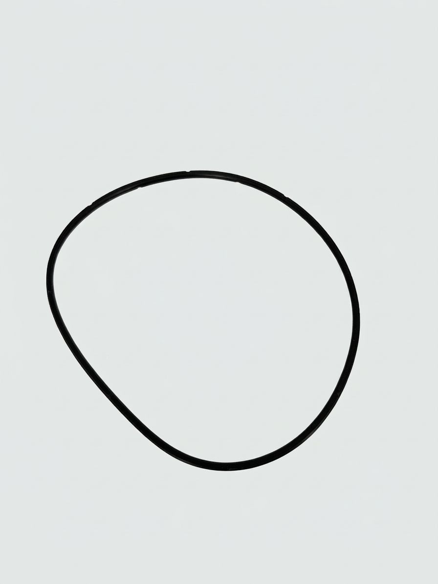 O-RING, ANTI-TWIST
