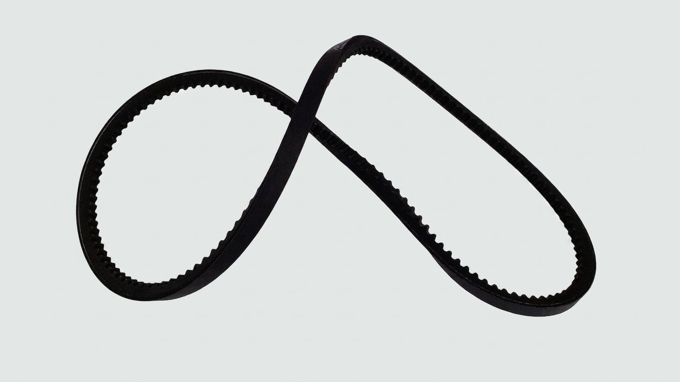 ALTERNATOR BELT