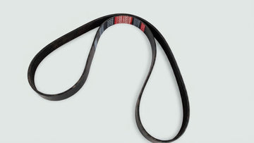 FAN BELT