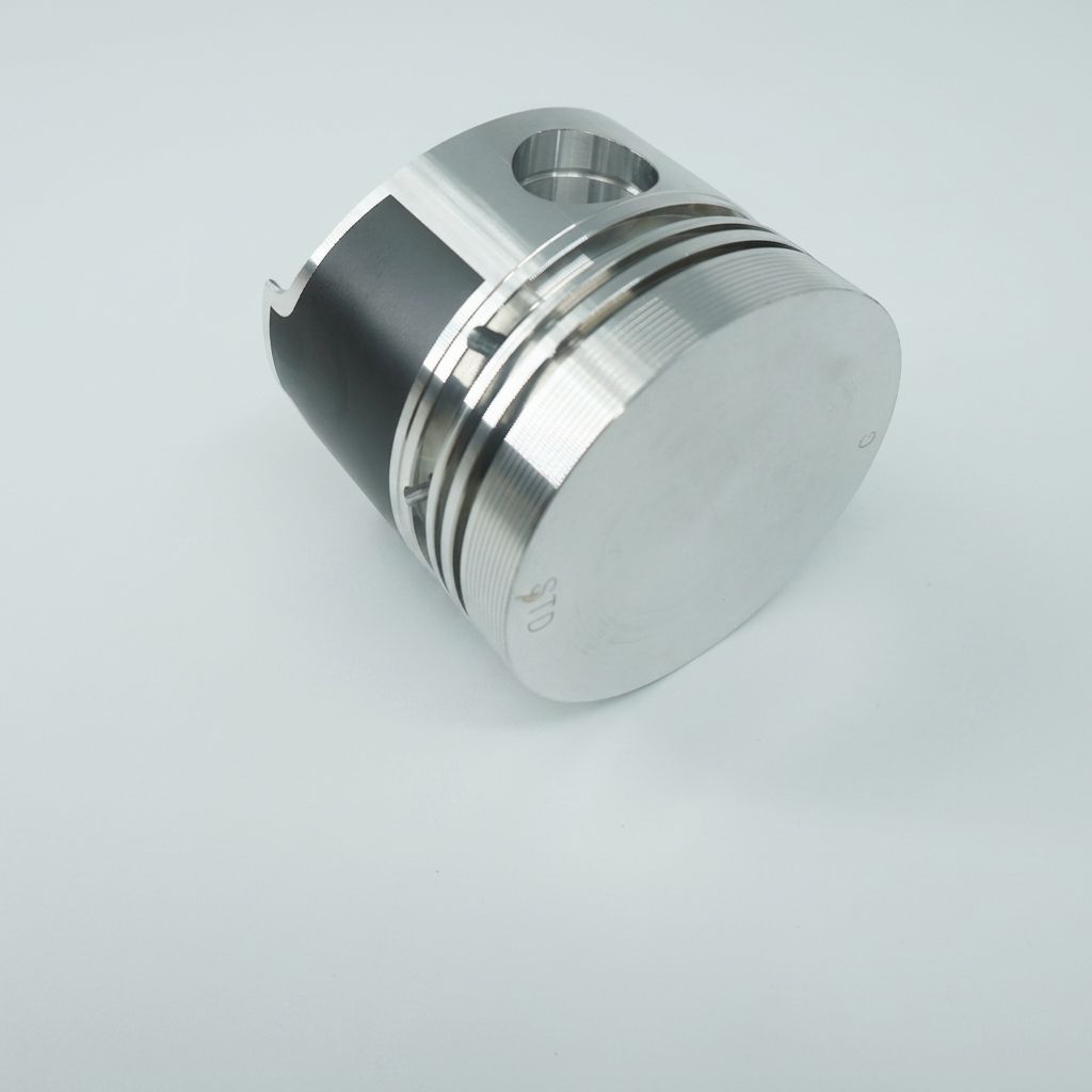 PISTON ASSEMBLY
