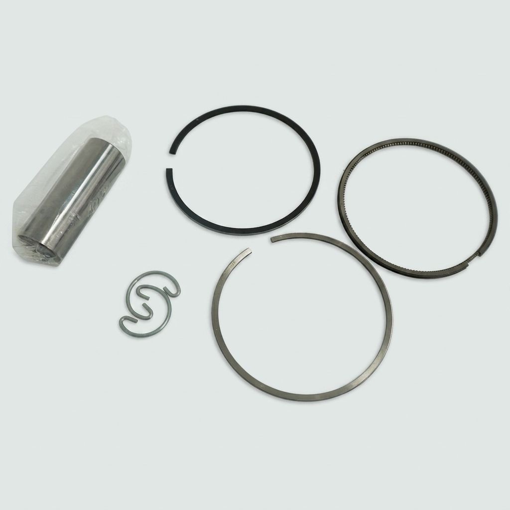 PISTON ASSEMBLY