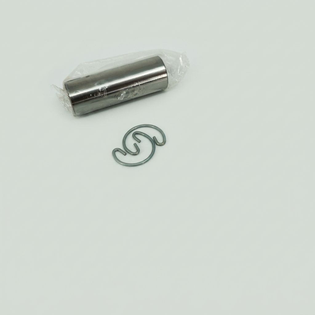 PISTON ASSEMBLY