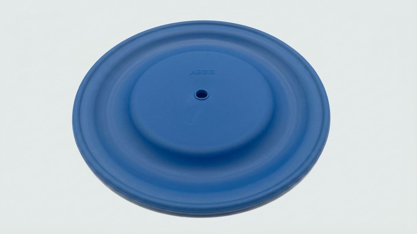 DIAPHRAGM