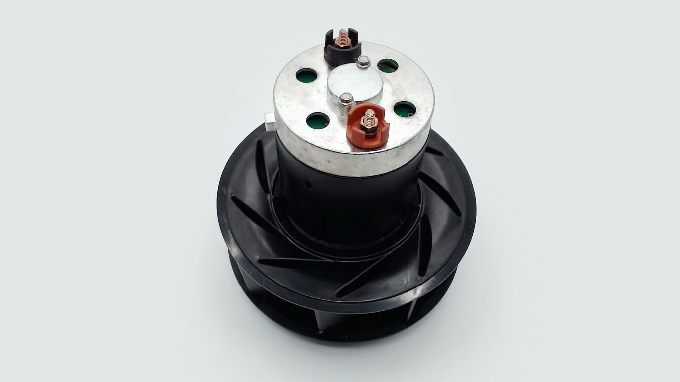 BLOWER MOTOR ASSEMBLY