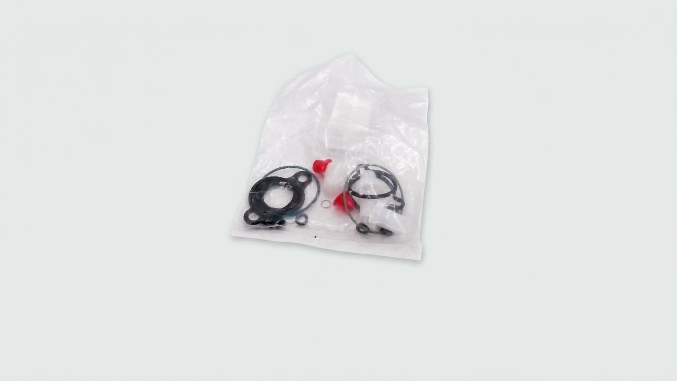 FUEL PUMP REPAIR KIT