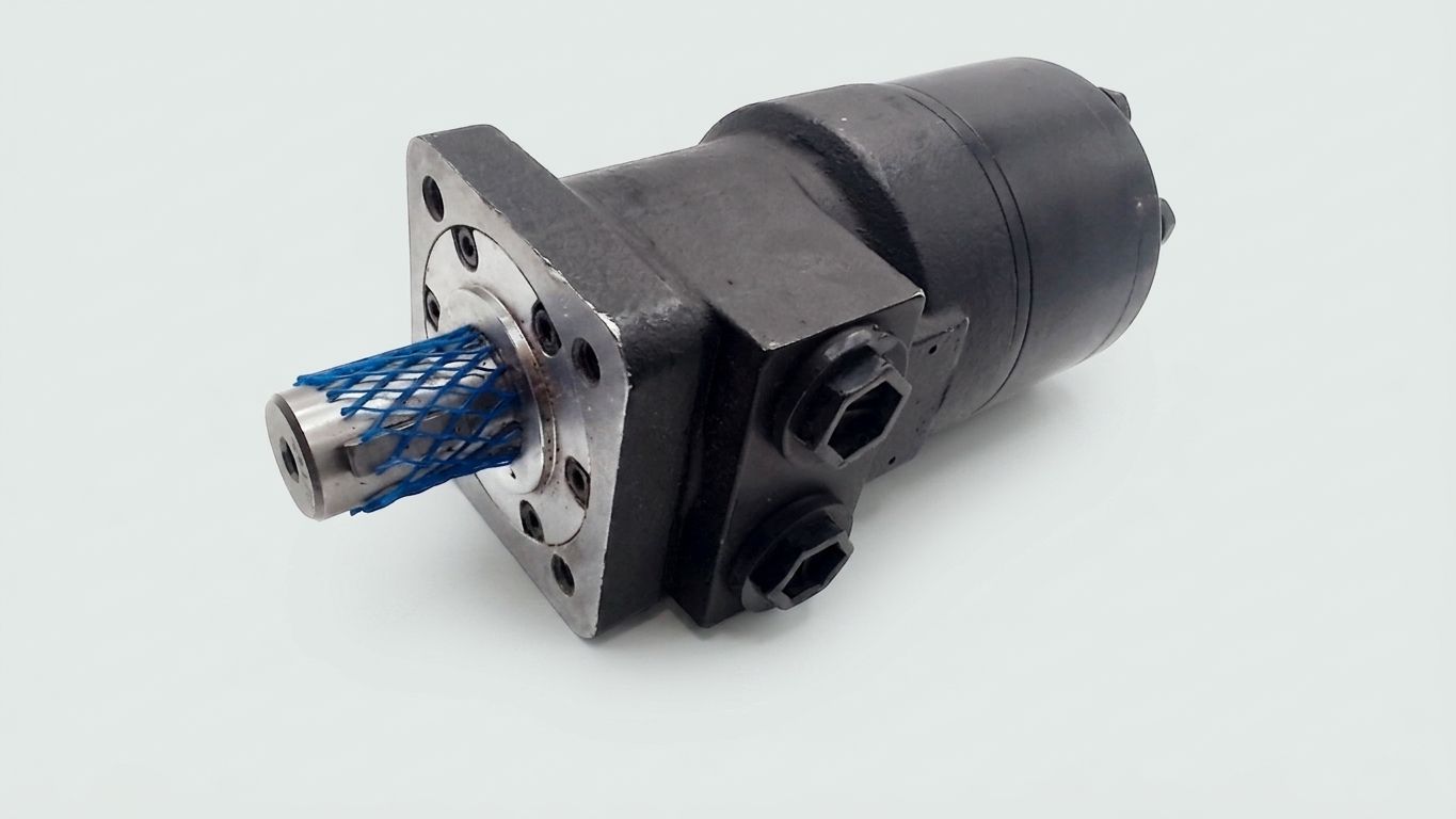 HYDRAULIC MOTOR