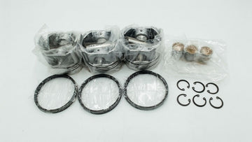 PISTON & PISTON RING SET