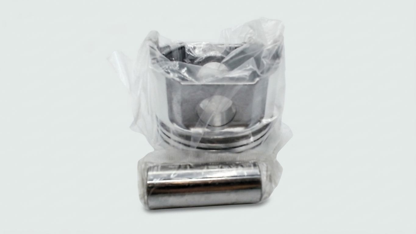 PISTON & PISTON RING SET