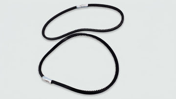 2 PIECES ALTERNATOR BELT
