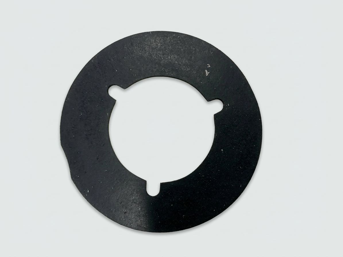 GASKET / DOOR HOLD-BACK