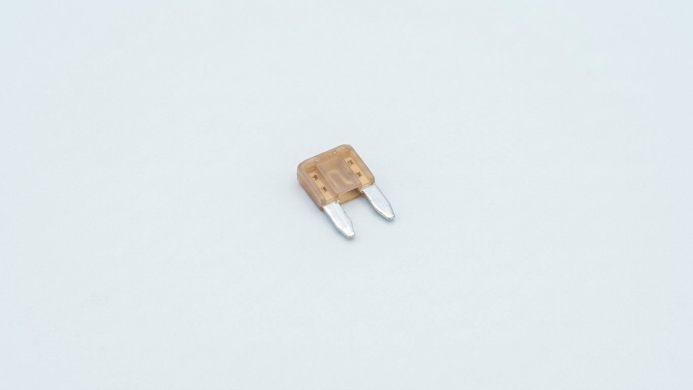 FUSE, ATM, 5AMP