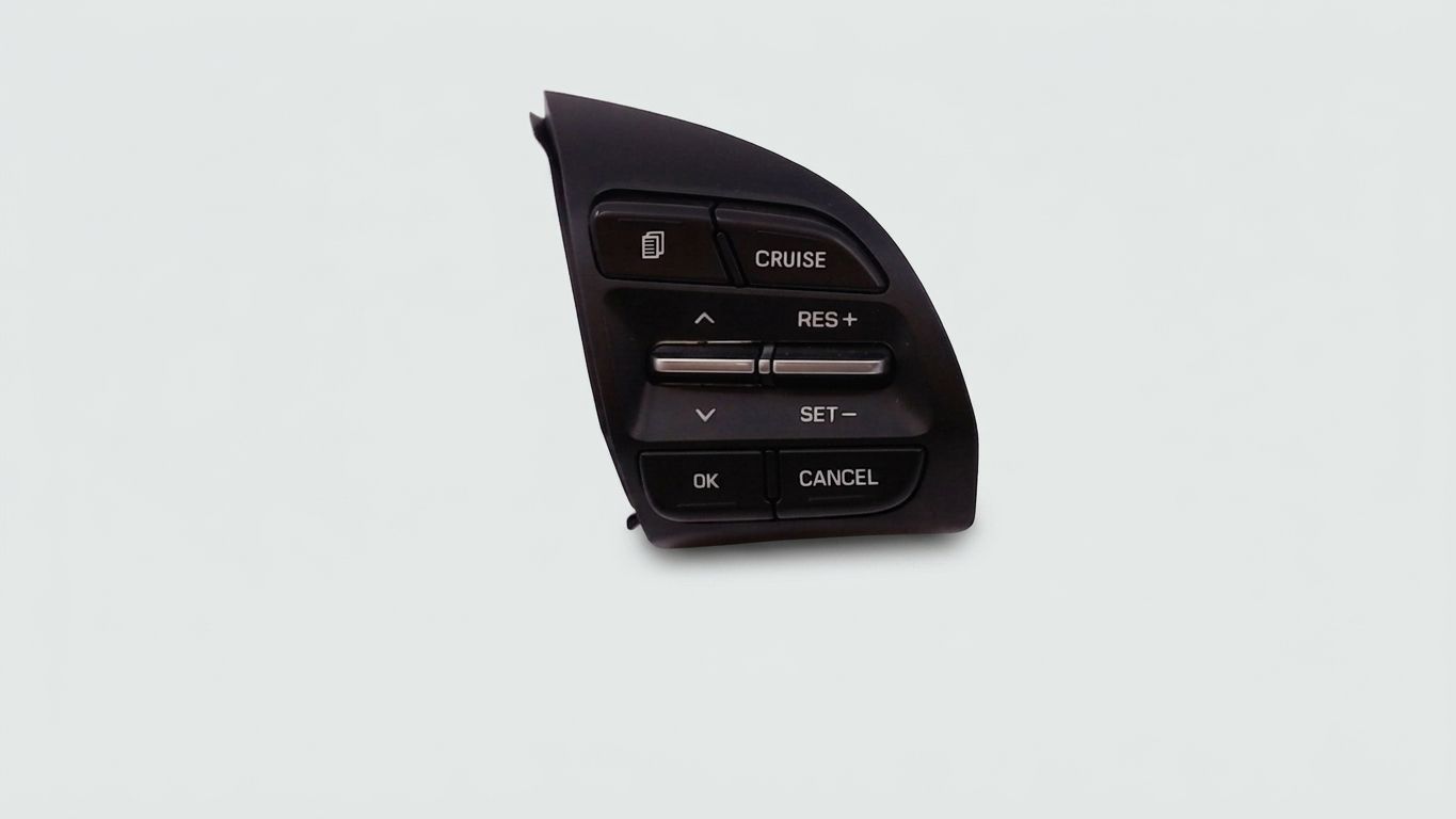 MULTI-FUNCTION STEERING WHEEL CRUISE CONTROL SWITCH