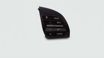 MULTI-FUNCTION STEERING WHEEL CRUISE CONTROL SWITCH